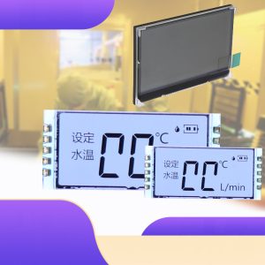monochrome graphic segment LCD screen